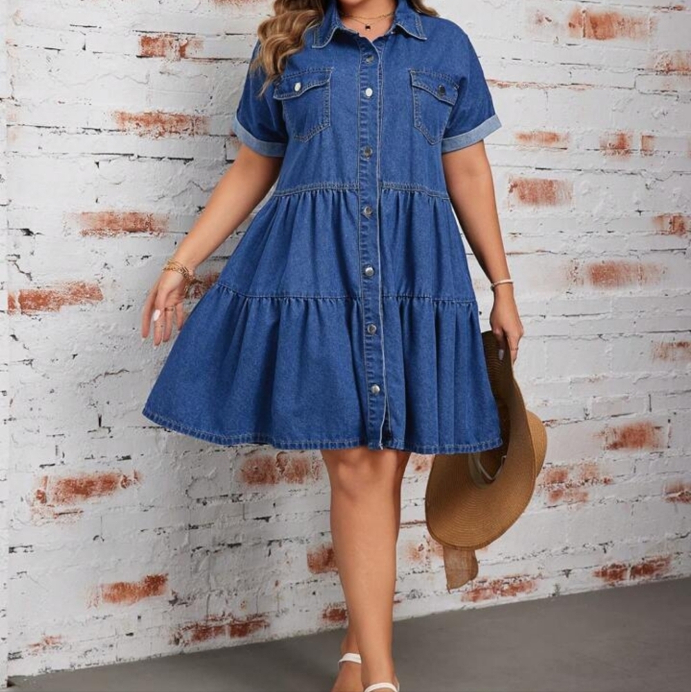 Denim Button-Up Dress